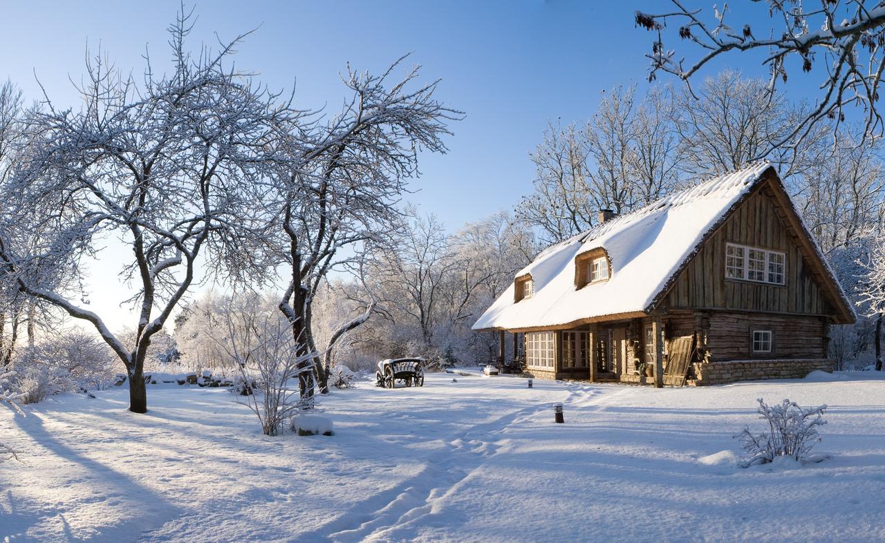 Paedaste Manor Zewnętrze zdjęcie